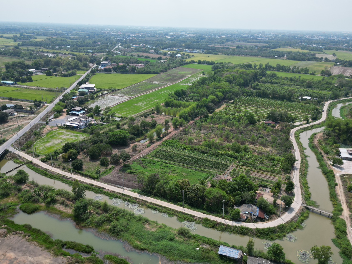 🔥 ที่ดินสวย ทำเลดี ที่ดินเชิงเกษตร ต.หนองจระเข้ อ.หนองแค จ.สระบุรี