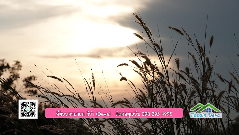 (🔴 ปิดการขาย) ที่ดินนครนายก วิวภูเขา 21 ไร่ 54 ตร.ว. โฉนดครุฑแดง ⭐ เหมาะกับเก็บไว้เก็งกำไร