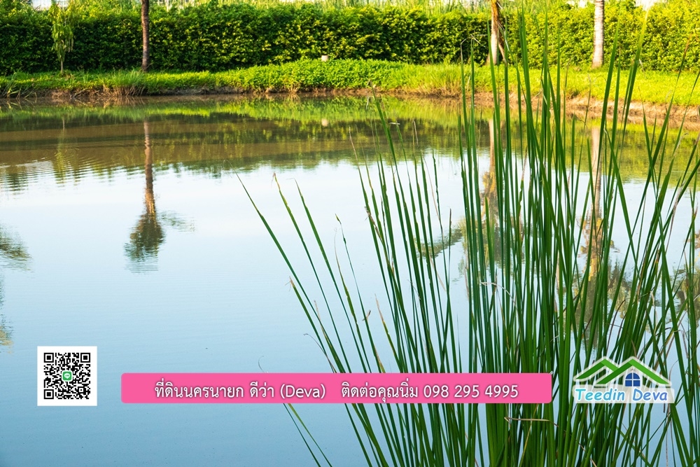 ขายบ้าน ทำเลธุรกิจ สามารถประยุกต์เป็นร้านอาหาร และคาเฟ่