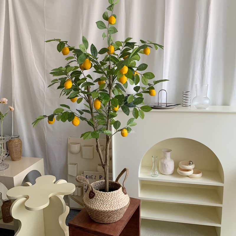 [พร้อมส่ง] Jnihouse : ตะกร้าสานหวาย ตะกร้าใส่ต้นไม้ (ทูโทน)