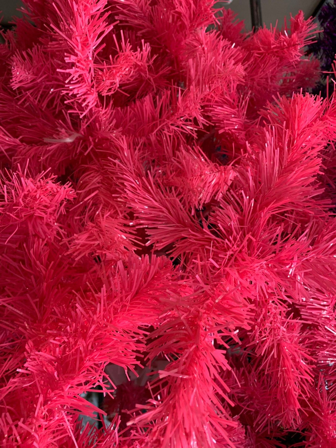 หากคุณกำลังค้นหารูปภาพที่เกี่ยวข้องกับใบคริสต์มาสปลอมในเฉดสีชมพูบานเย็น