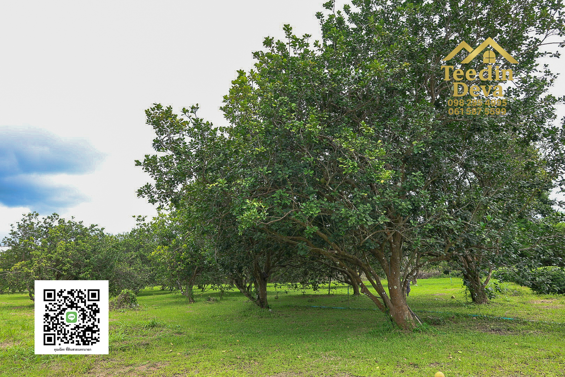 ที่ดินนครนายก วิวภูเขา ติดลำธาร ใกล้เขาใหญ่ ขนาด 1 ไร่ ทำเลดี ต.นาหินลาด อ.ปากพลี จ.นครนายก