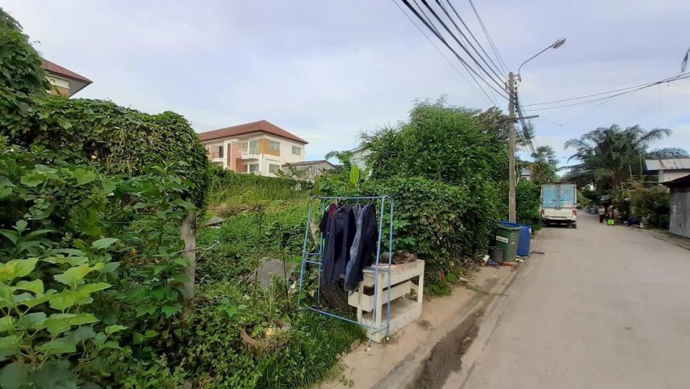 ขายที่ดินอ่อนนุช 17 สวยมากหน้ากว้าง 201 ตารางวา (N.613)