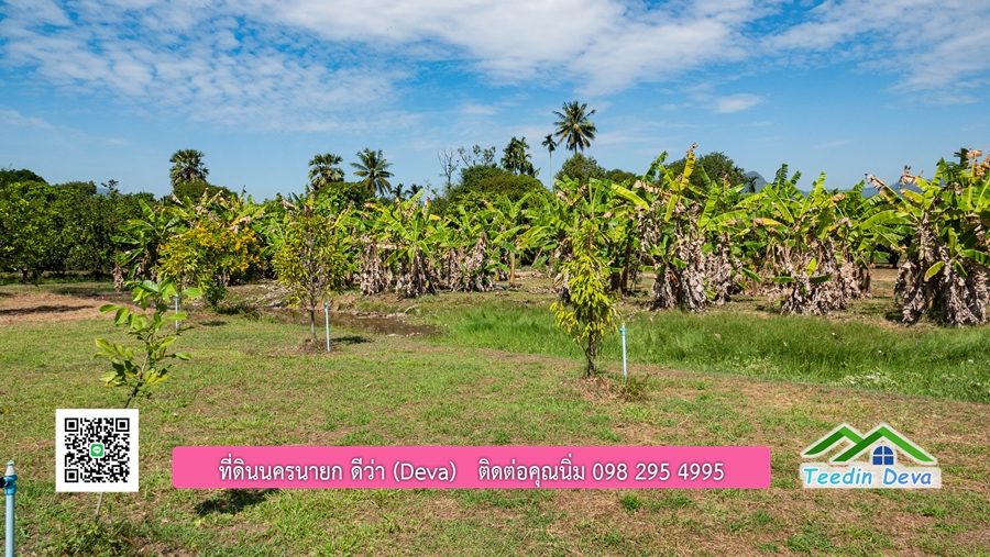 (ติดจอง) ที่ดินนครนายก บ้านสวน พร้อมที่ดิน ขนาด 1 ไร่ 1 งาน วิวภูเขาสวย อยู่ใกล้เขื่อนขุนด่านปราการชล