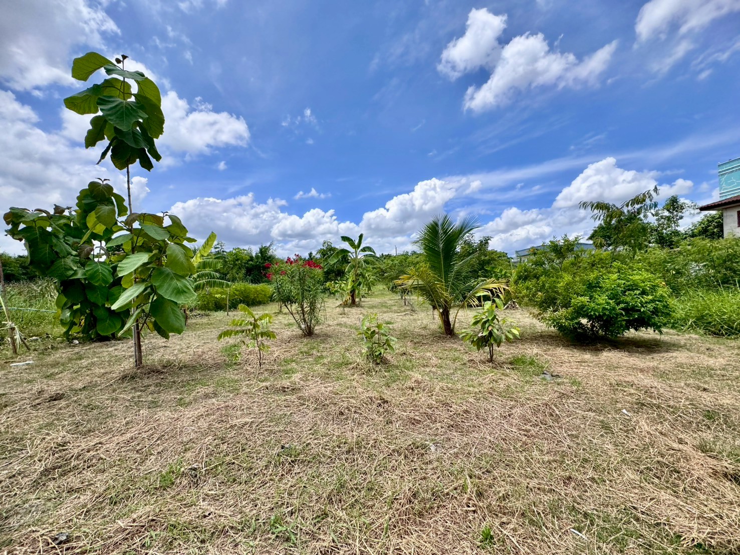 ขายที่ดินเปล่าแปลงสวย ทำเลพัฒนาการตัดใหม่ เหมาะ..สร้างบ้าน ออฟฟิศ (N.641)