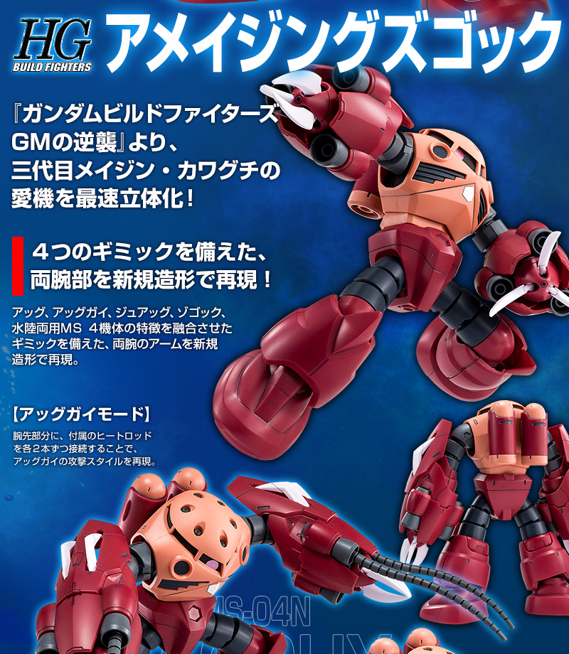 (HG) 1/144 Amazing Z'Gok (Premium Bandai)