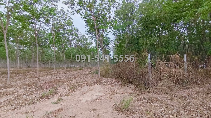 ขายที่ดิน เนื้อที่ 15-0-66.9 ไร่ แม่น้ำคู้ ปลวกแดง ระยอง ใกล้อ่างเก็บน้ำดอกกราย ล้อมรั้วไว้เรียบร้อย