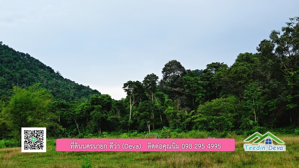 ที่ดินนครนายก ติดลำธารสวยๆ ที่ดินแปลงสวย 6 ไร่ ทำเลดี ในอ้อมกอดของขุนเขา ด้านหลังติดลำธารธรรมชาติ