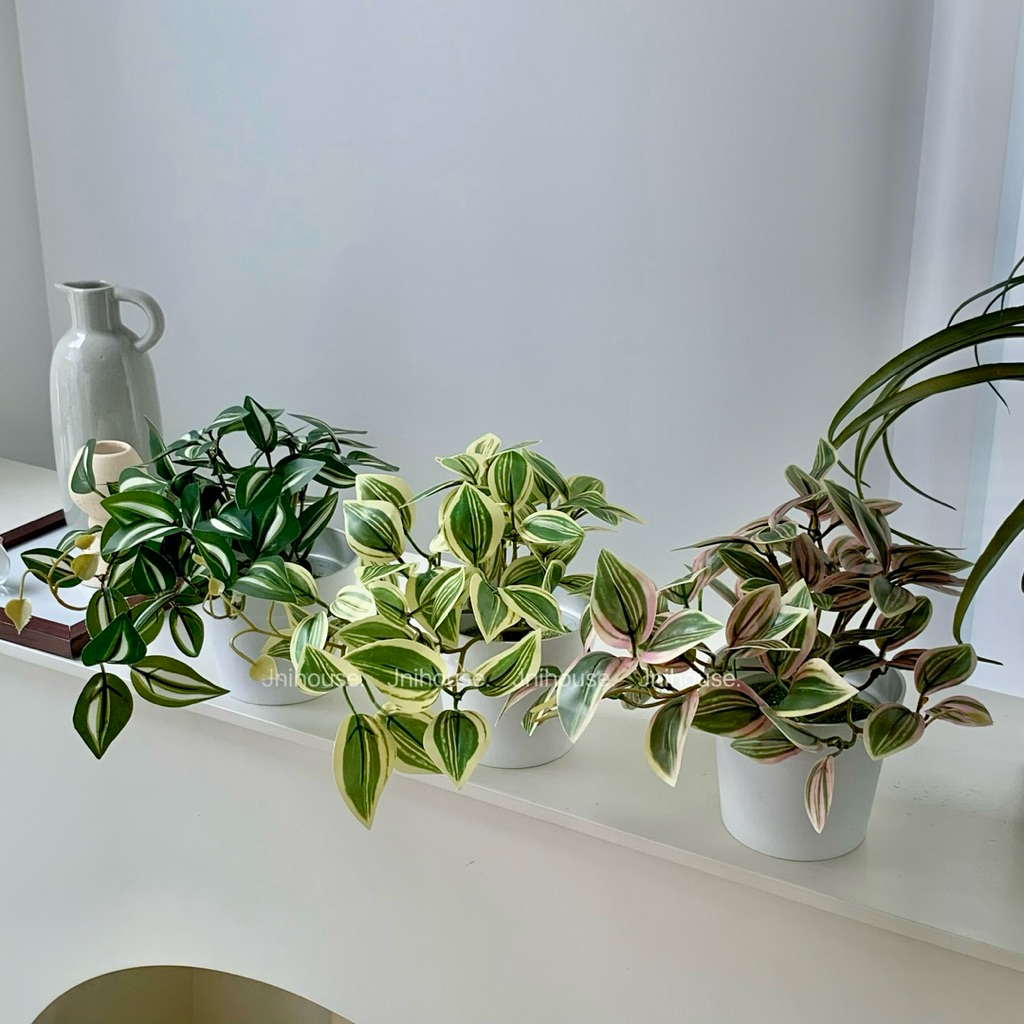 [พร้อมส่ง] Jnihouse : (รุ่นสั้น)ต้นก้ามปูด่างประดิษฐ์+กระถางพลาสติกขาว