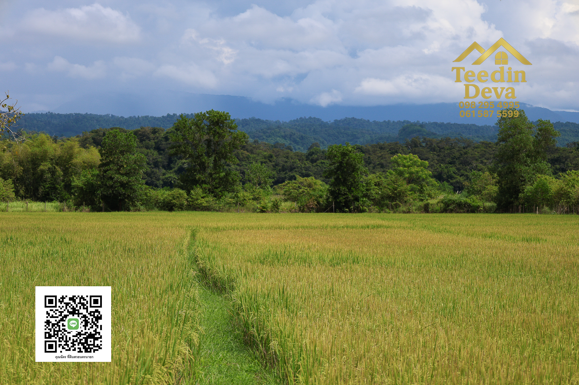 🏞️ “ที่ดินวิวเขาสุดตระการตา ใกล้เขาใหญ่เพียง 10 นาที — นาหินลาด อำเภอปากพลี จังหวัดนครนายก”