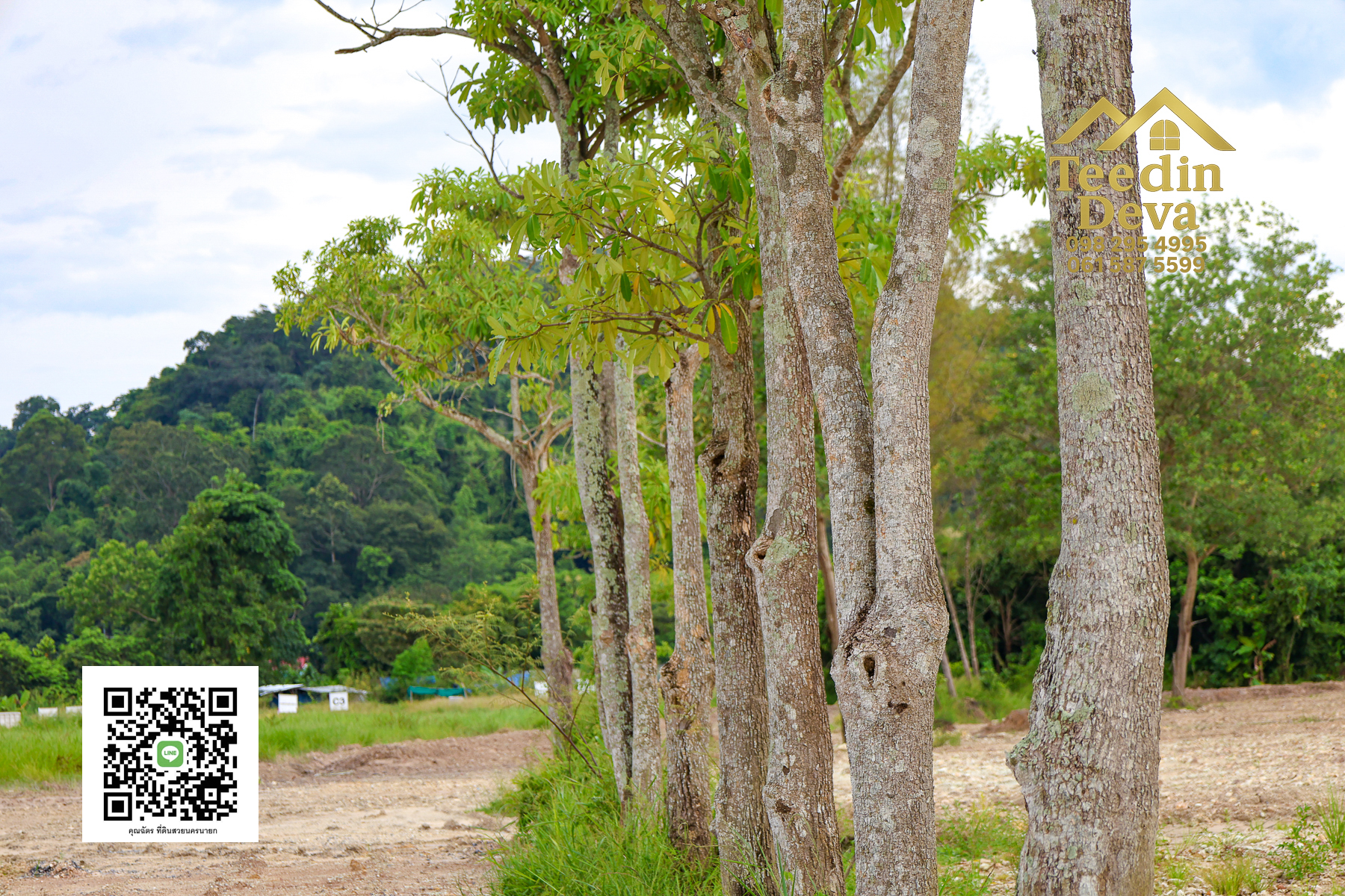 ตื่นเช้ามาพร้อมวิวเขา สูดอากาศบริสุทธิ์ได้ทุกวัน ที่นี่ เนื้อที่ 1 ไร่ ... ต.สาริกา นครนายก