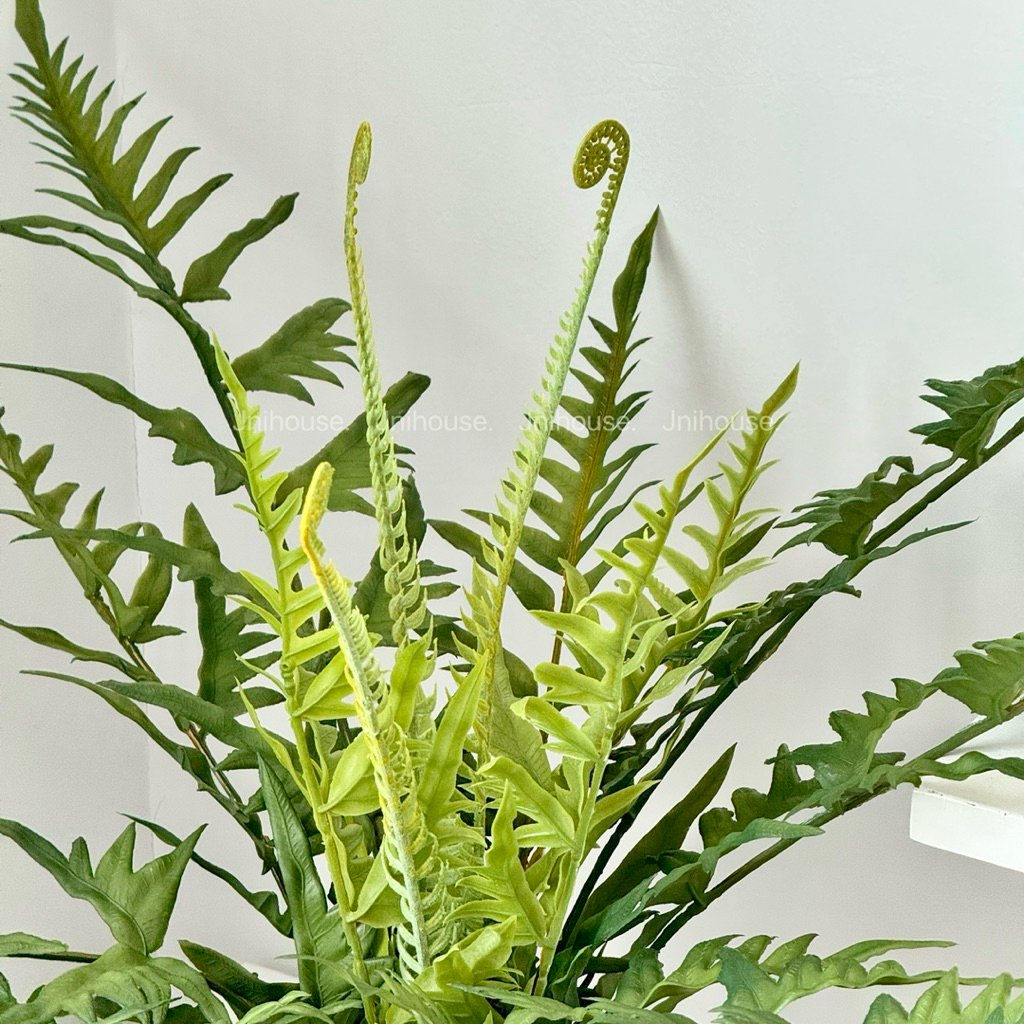 [พร้อมส่ง] Jnihouse : กิ่งเฟิร์นประดิษฐ์ (มีหน่อ)