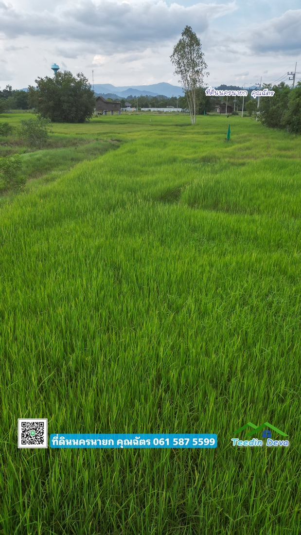 ที่ดินแปลงสวย ราคาไม่แพง ⭐ เหมาะซื้อเก็บเก็งกำไร 1 ไร่ หนองแสง อ.ปากพลี จ.นครนายก