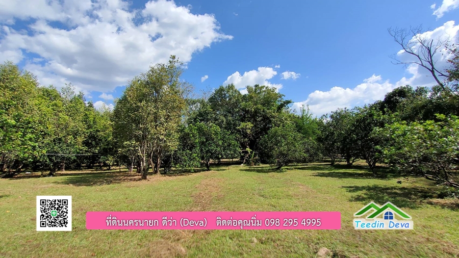 บ้านสวนผลไม้ ใกล้กับแหล่งท่องเที่ยว เจ้าของปลูกมะยงชิด ส้มโอ ต้นกฤษณา 20 ไร่ อยู่ติดถนนสายท่องเที่ยว สาริกา-นางรอง ต.สาริกา อ.เมือง จ.นครนายก