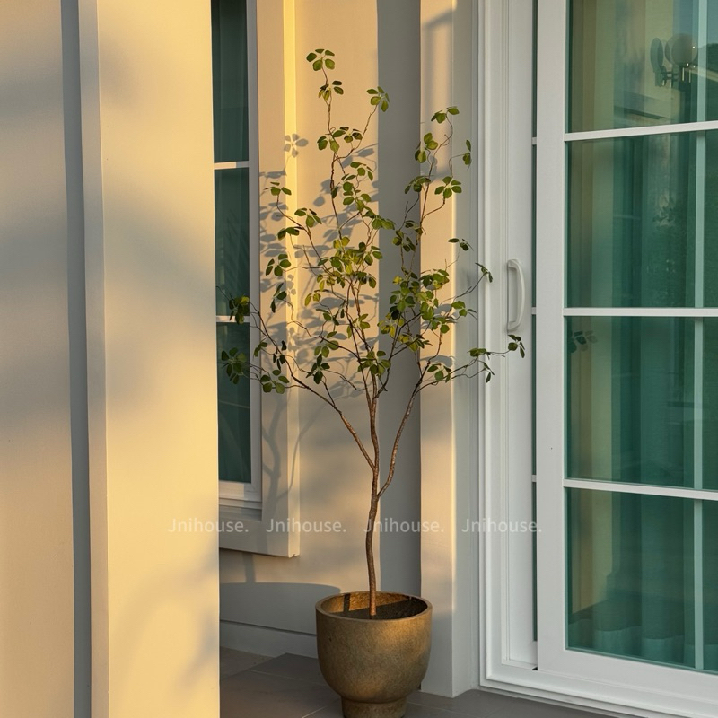 [พร้อมส่ง] Jnihouse : ต้นไม้ประดิษฐ์เสมือนจริง สูง 160 cm (Tree)