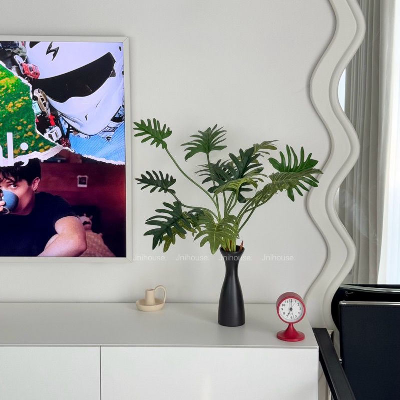 [พร้อมส่ง] Jnihouse : กิ่งต้นซานาดู (Xanadu Plant)(Tree)