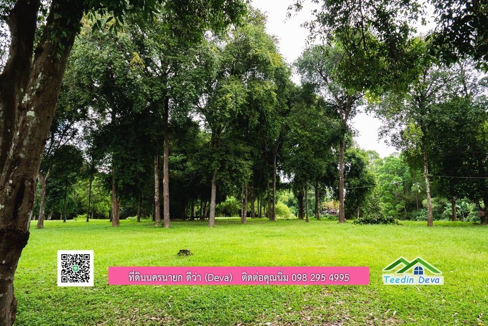 ที่ดินนครนายก ติดแม่น้ำ 14 ไร่ พื้นที่ติดแม่น้ำ 400 เมตร ชมลำธารสวยๆ บรรยากาศสบายๆ ต.สาริกา อ.เมือง จ.นครนายก