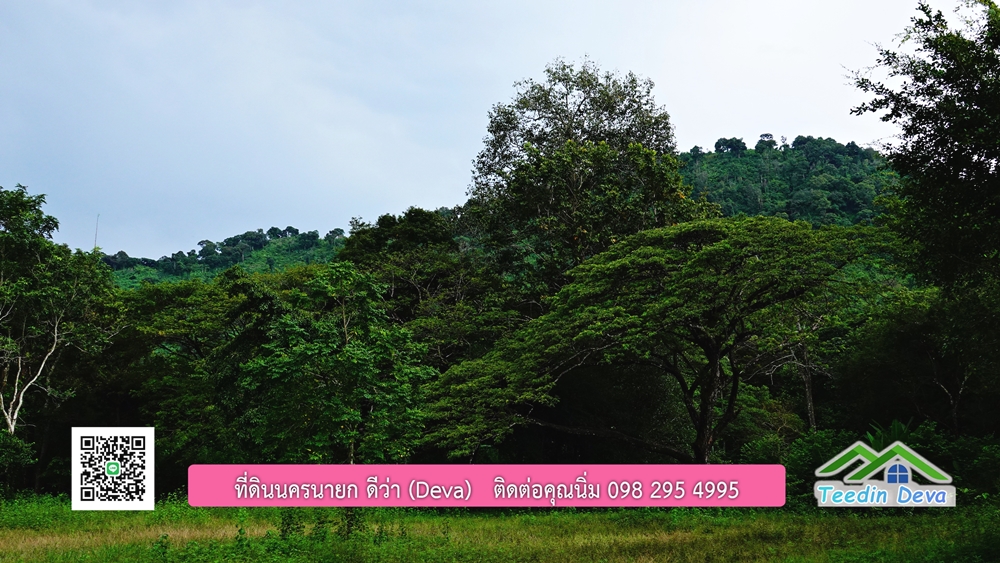 ที่ดินนครนายก ติดลำธารสวยๆ ที่ดินแปลงสวย 6 ไร่ ทำเลดี ในอ้อมกอดของขุนเขา ด้านหลังติดลำธารธรรมชาติ