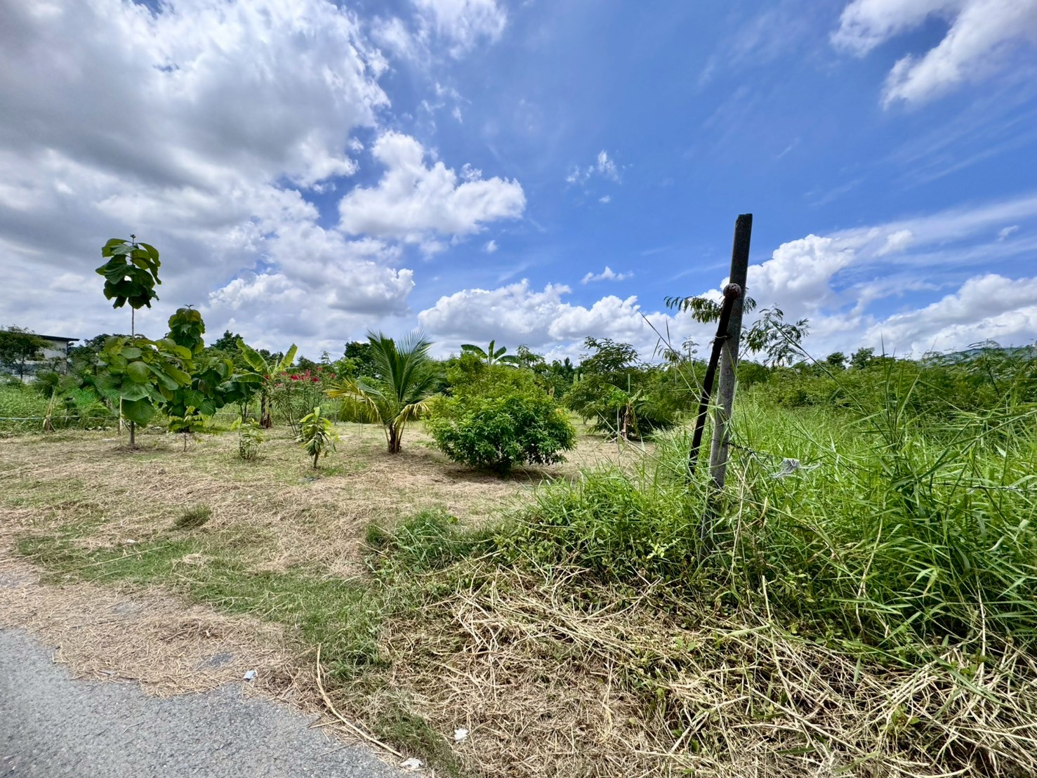 ขายที่ดินเปล่าแปลงสวย ทำเลพัฒนาการตัดใหม่ เหมาะ..สร้างบ้าน ออฟฟิศ (N.641)