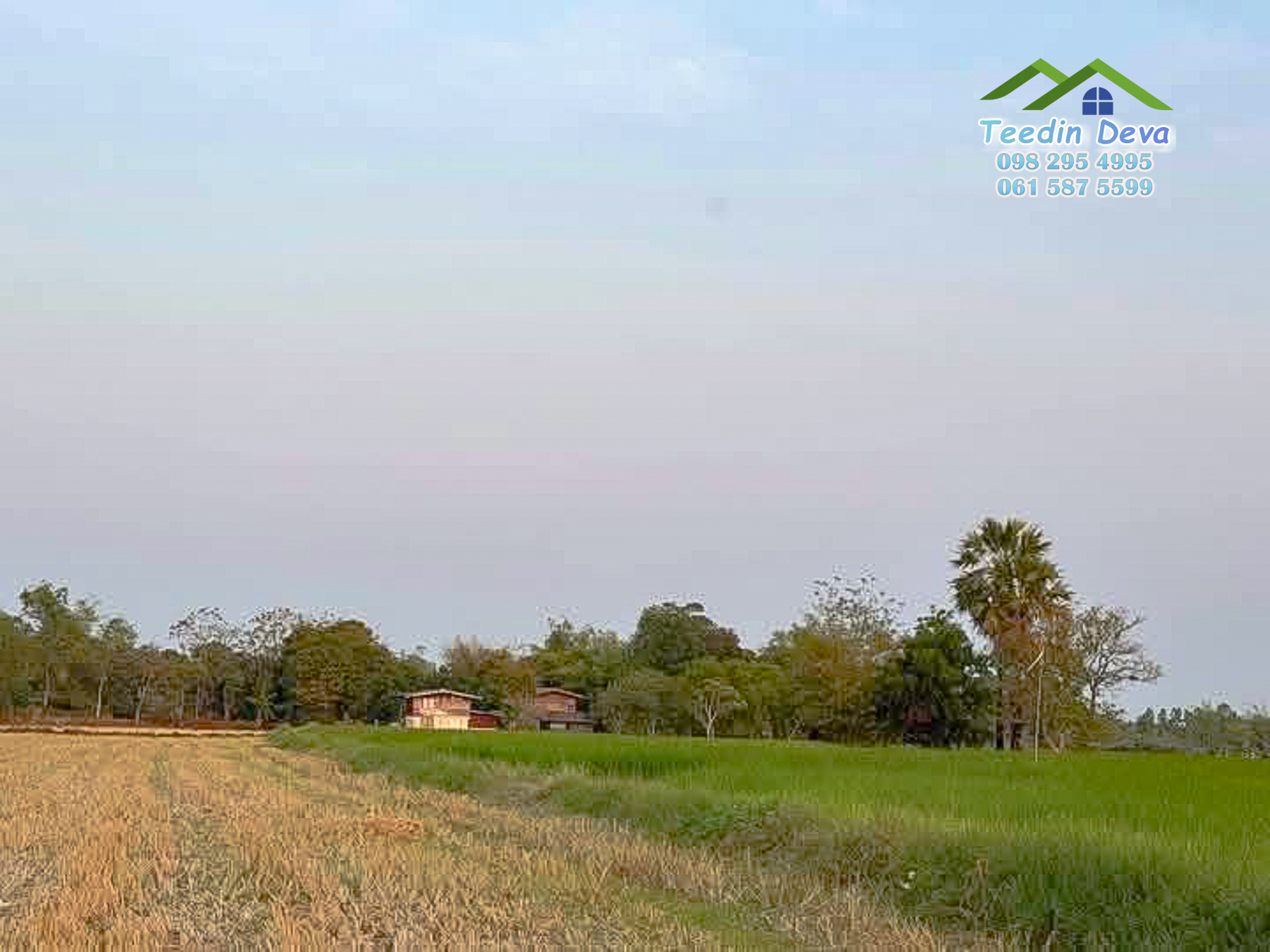 ขายที่ดินนครนายก 1 ไร่ ราคาถูก ลดราคาด่วนๆ ขายไร่ละ 9.5 แสน ต.ศรีนาวา อ.เมือง จ.นครนายก