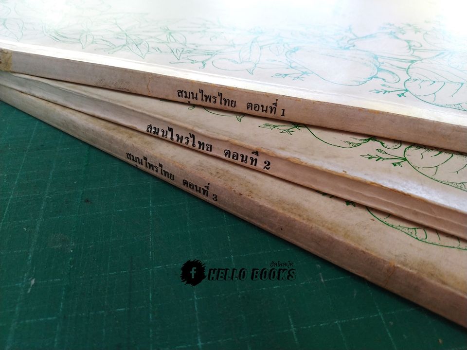 สมุนไพรไทย ตอนที่ 1 - 3