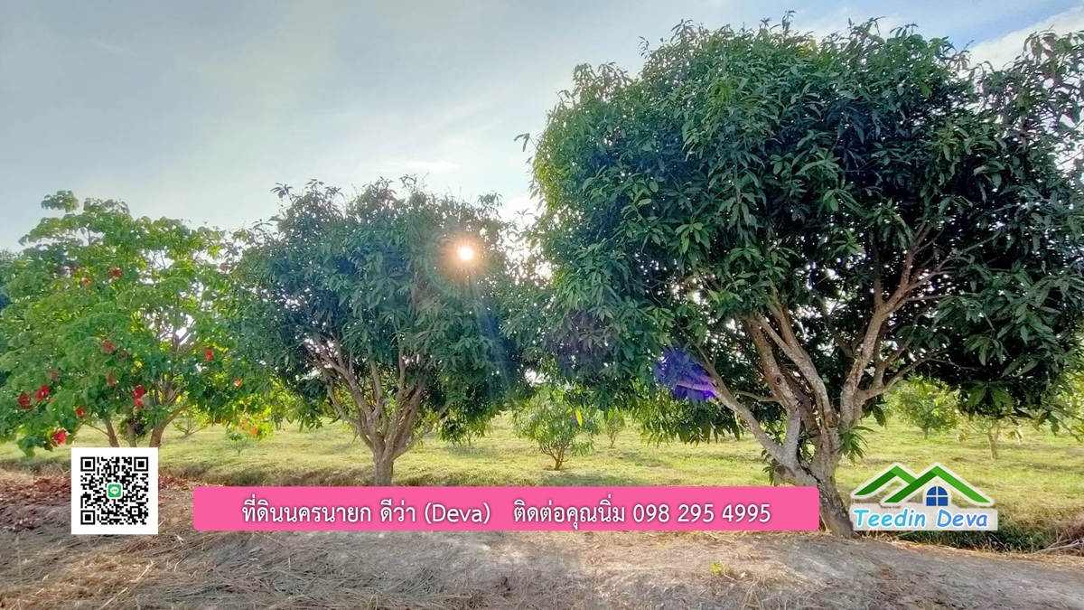 ที่ดินวิวภูเขา แปลงสวย เนื้อที่ 1 ไร่ 3 งาน ด้านหน้าวิวภูเขา ด้านหลังเป็นสวนผลไม้ ต.เขาเพิ่ม อ.บ้านนา จ.นครนายก