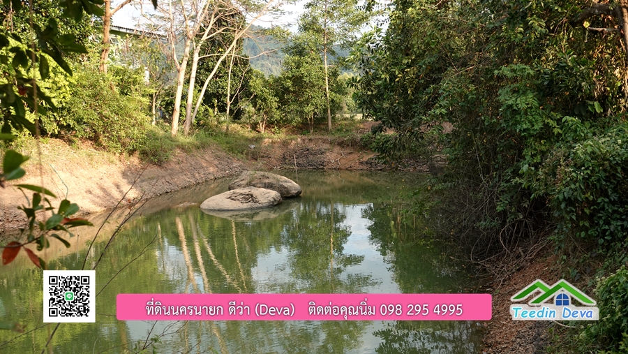 บ้านสวนผลไม้ สามารถเก็บผลผลิตได้เลย พื้นที่ 2 ไร่ 1 งาน อ.ปากพลี จ.นครนายก