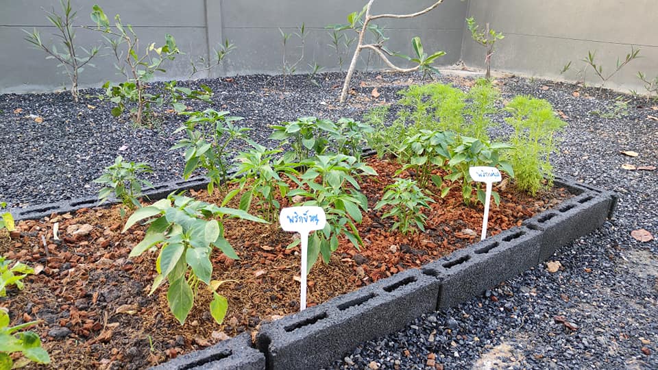 🏡 บ้านสวย อเมริกัน คันทรี สไตล์ (American Country Style) เนื้อที่ 80 ตร.ว. ต.บ้านพร้าว อ.บ้านนา จ.นครนายก