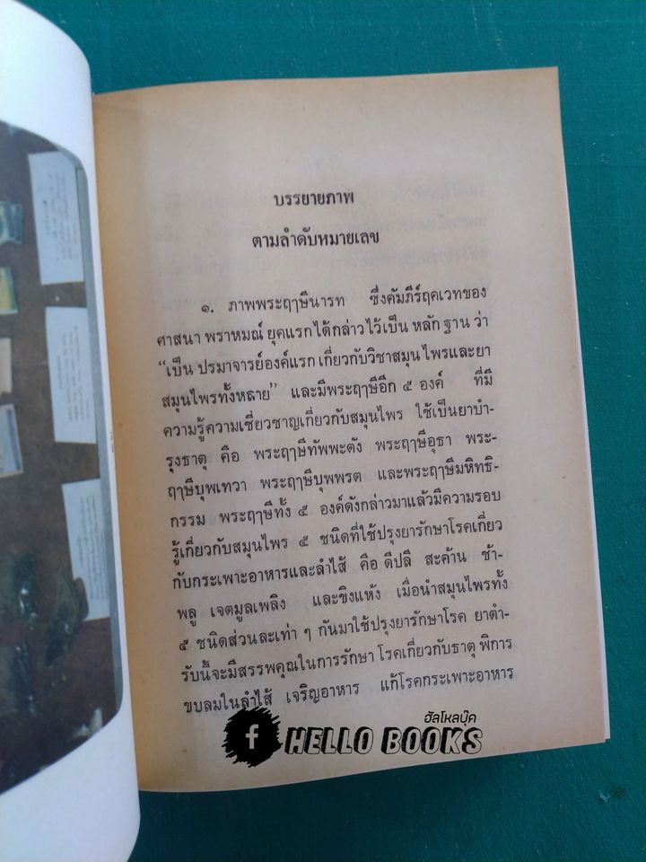 หลักการใช้ยาสมุนไพรรักษาโรคต่างๆ