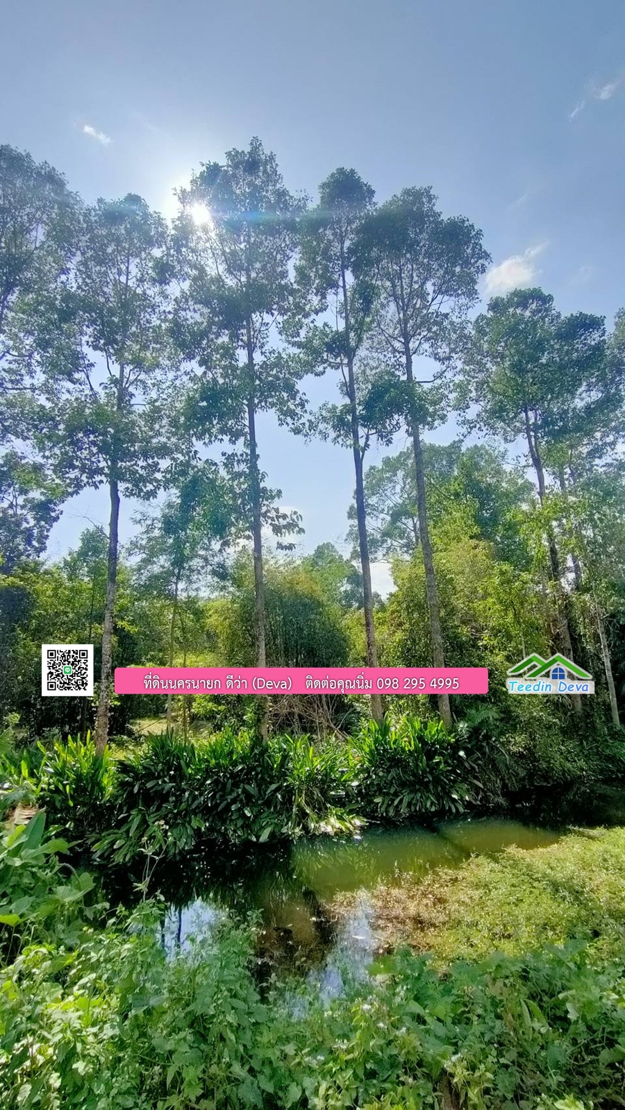 ที่ดินสวยขนาด 10 ไร่ อยู่ในแหล่งท่องเที่ยว ใกล้เขื่อนด่านปราการชล ต.สาริกา อ.เมือง จ.นครนายก