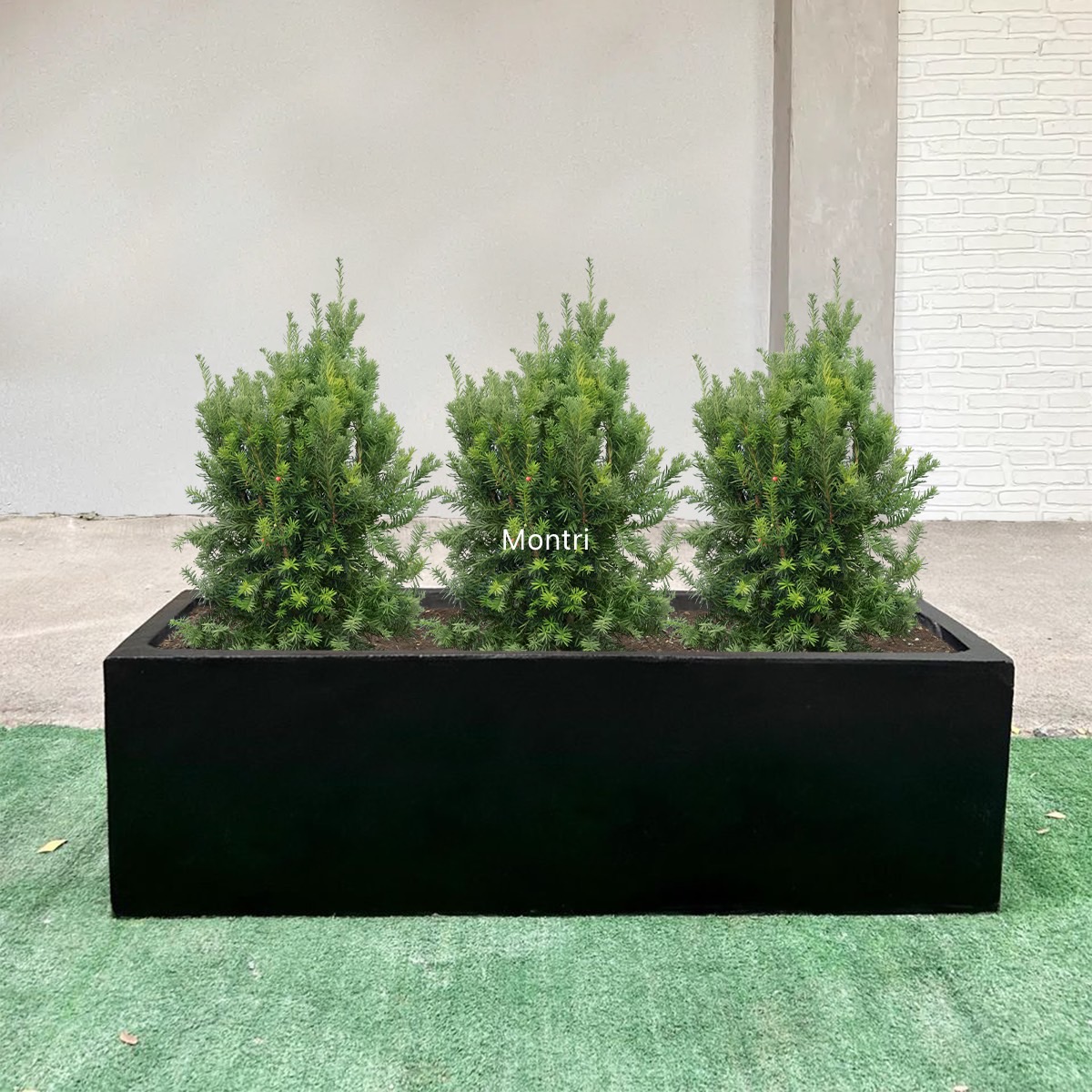 กระถางต้นไม้ กระถางทรงรางยาว จำนวน 10 ใบ ลงสีคุณภาพพร้อมเคลือบเงาสามารถวางได้ทั้งกลางแจ้งและในร่ม ขนาด 30*100* cm. วัสดุเป็นปูน