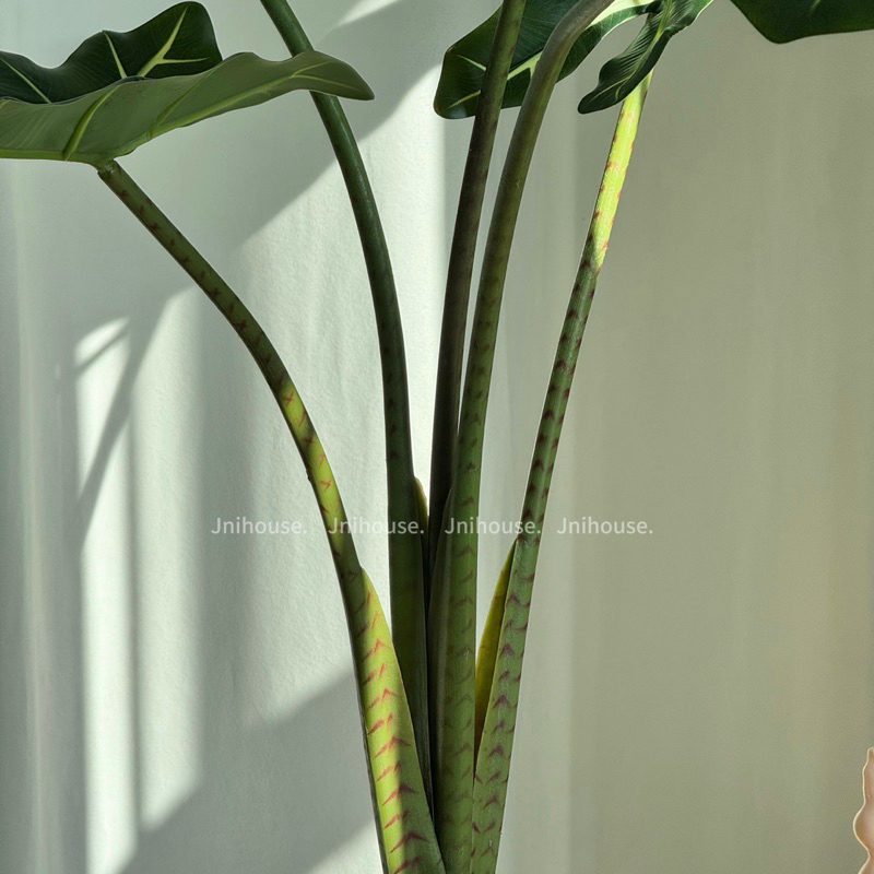 [พร้อมส่ง] Jnihouse : ต้นไม้ประดิษฐ์อโลคาเซีย หูช้าง (Artificial Alocasia Sarian Potted)(Tree)