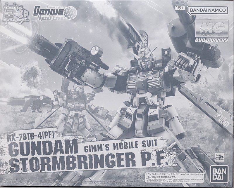 (MG) 1/100 GUNDAM STORMBRINGER P.F.(Premium Bandai)