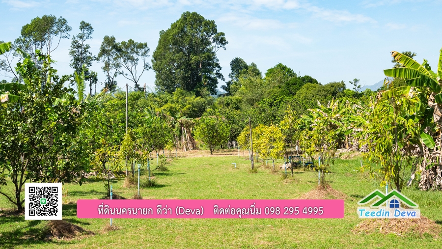 (ติดจอง) ที่ดินนครนายก บ้านสวน พร้อมที่ดิน ขนาด 1 ไร่ 1 งาน วิวภูเขาสวย อยู่ใกล้เขื่อนขุนด่านปราการชล