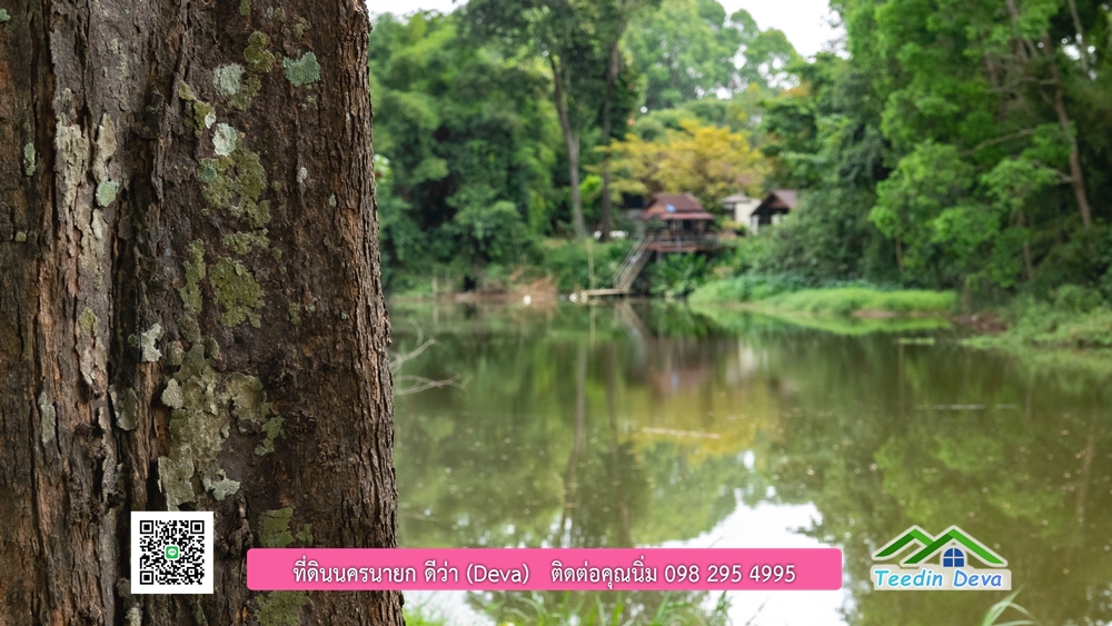 ที่ดินนครนายก ติดแม่น้ำ 14 ไร่ พื้นที่ติดแม่น้ำ 400 เมตร ชมลำธารสวยๆ บรรยากาศสบายๆ ต.สาริกา อ.เมือง จ.นครนายก