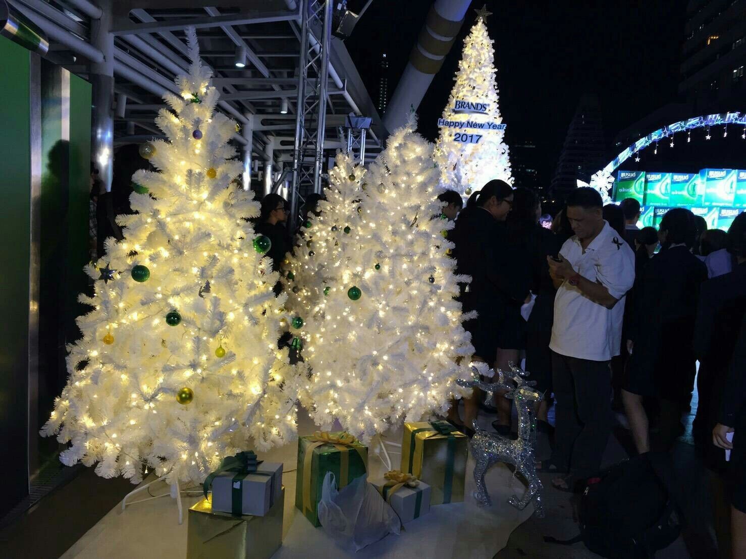 ให้เช่าต้นคริสต์มาสสีขาว ขนาด 6ฟุต พร้อมประดับไฟ