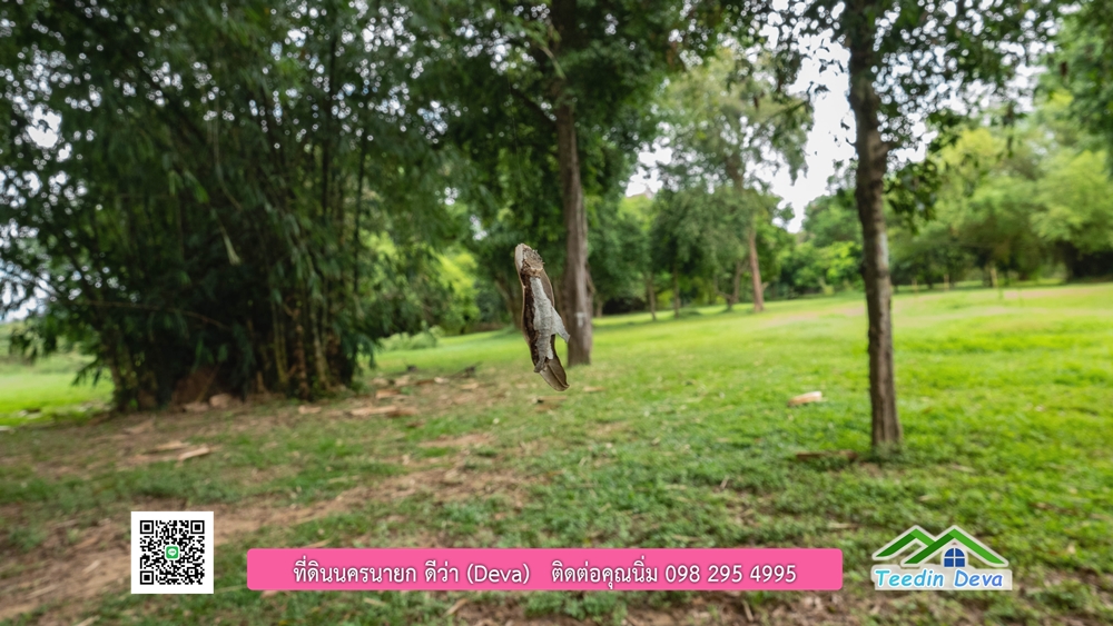 ที่ดินนครนายก ติดแม่น้ำ 14 ไร่ พื้นที่ติดแม่น้ำ 400 เมตร ชมลำธารสวยๆ บรรยากาศสบายๆ ต.สาริกา อ.เมือง จ.นครนายก