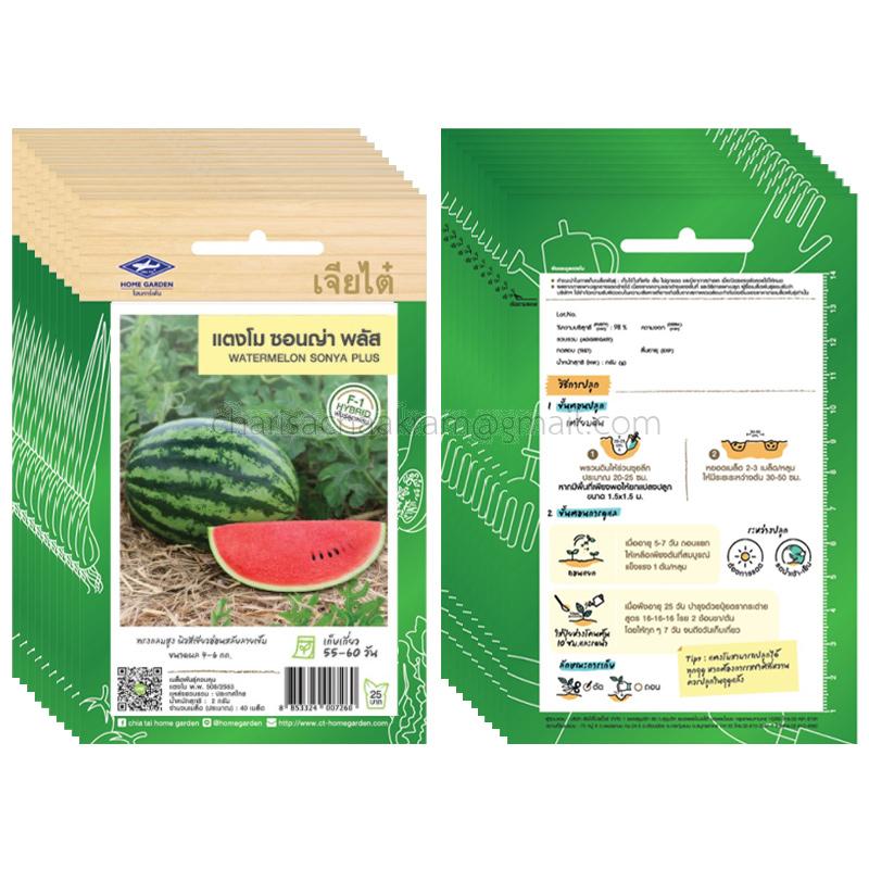 เมล็ดแตงโม ซอนญ่า เจียไต๋ ขายส่ง ยกห่อ 10 ซอง | พันธุ์ลูกผสม โตไว หวาน กำไรดี