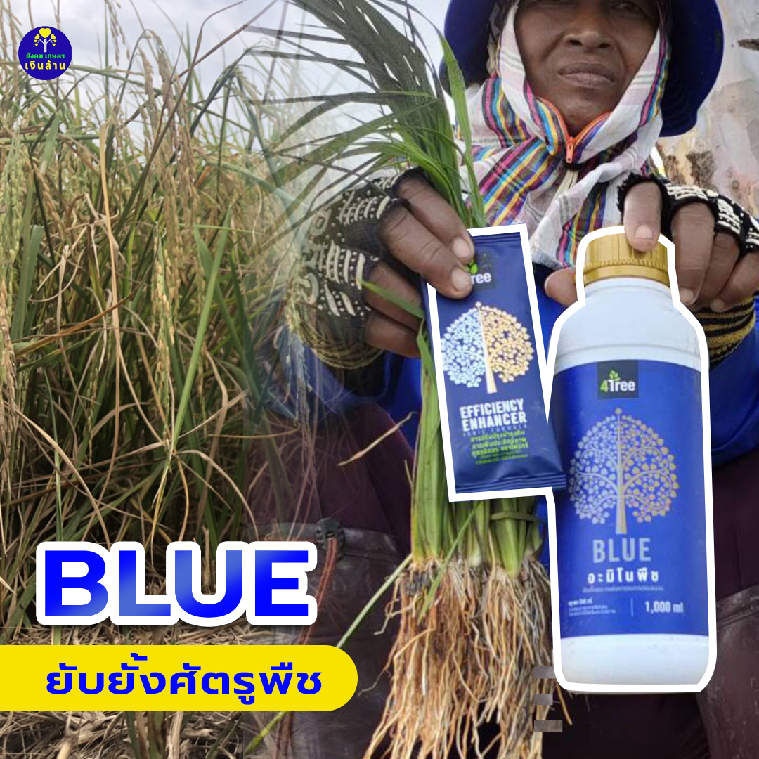 อะมิโนพืช บลู Amino BLUE : จุลินทรีย์ฮอร์โมน สูตรพิเศษ (4tree)