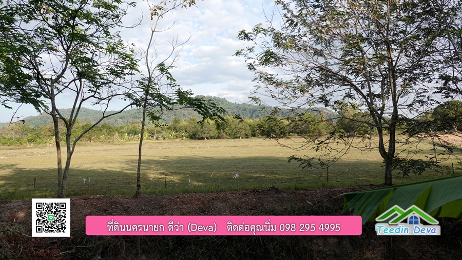 บ้านสวนผลไม้ สามารถเก็บผลผลิตได้เลย พื้นที่ 2 ไร่ 1 งาน อ.ปากพลี จ.นครนายก