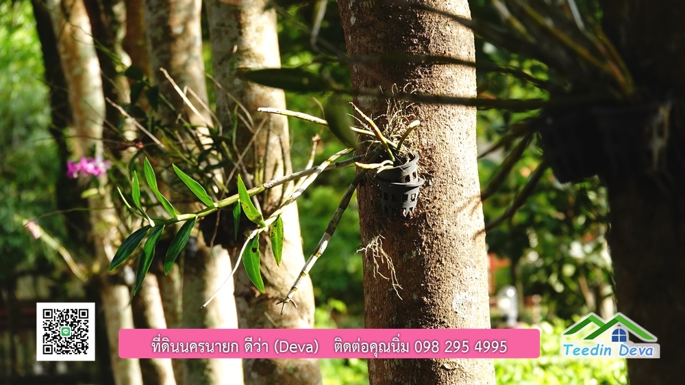 ขายรีสอร์ท ขนาด 10 ไร่ บรรยากาศดี ใกล้แหล่งท่อเที่ยว