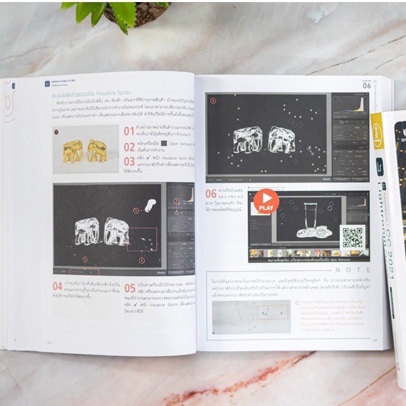 Infopress (อินโฟเพรส) หนังสือ Lightroom Classic CC 2021 Professional Guide - 72219