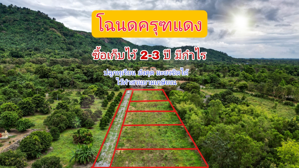 ที่ดินนครนายก วิวภูเขา ราคาเริ่มต้น 867,600 บาท ⭐ ทำเลแบบนี้ หาไม่ได้อีกแล้ว