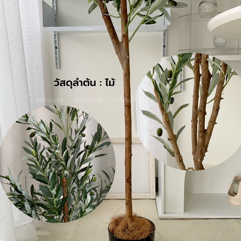 [พร้อมส่ง] Jnihouse : ต้นมะกอกปลอม สูง 1.6 1.8 เมตร ลำต้นทำจากไม้ (Olive Tree)