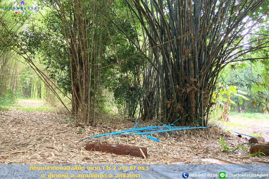 📣 ที่ดินติดคลองสียัด 1 ไร่ 2 งาน 87 ตร.ม. บรรยากาศร่มรื่น ซ.เทศบาล 21 ต.คู้ยายหมี อ.สนามชัยเขต จ.ฉะเชิงเทรา The Best ! | โทร. 085-992-9228