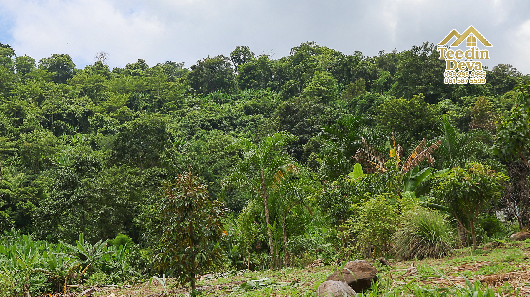 ที่ดินติดภูเขา เนินสวย พร้อมพัฒนารีสอร์ทหรือพูลวิลล่า 1 ไร่ ต.เขาพระ อ.เมือง จ.นครนายก 🏡