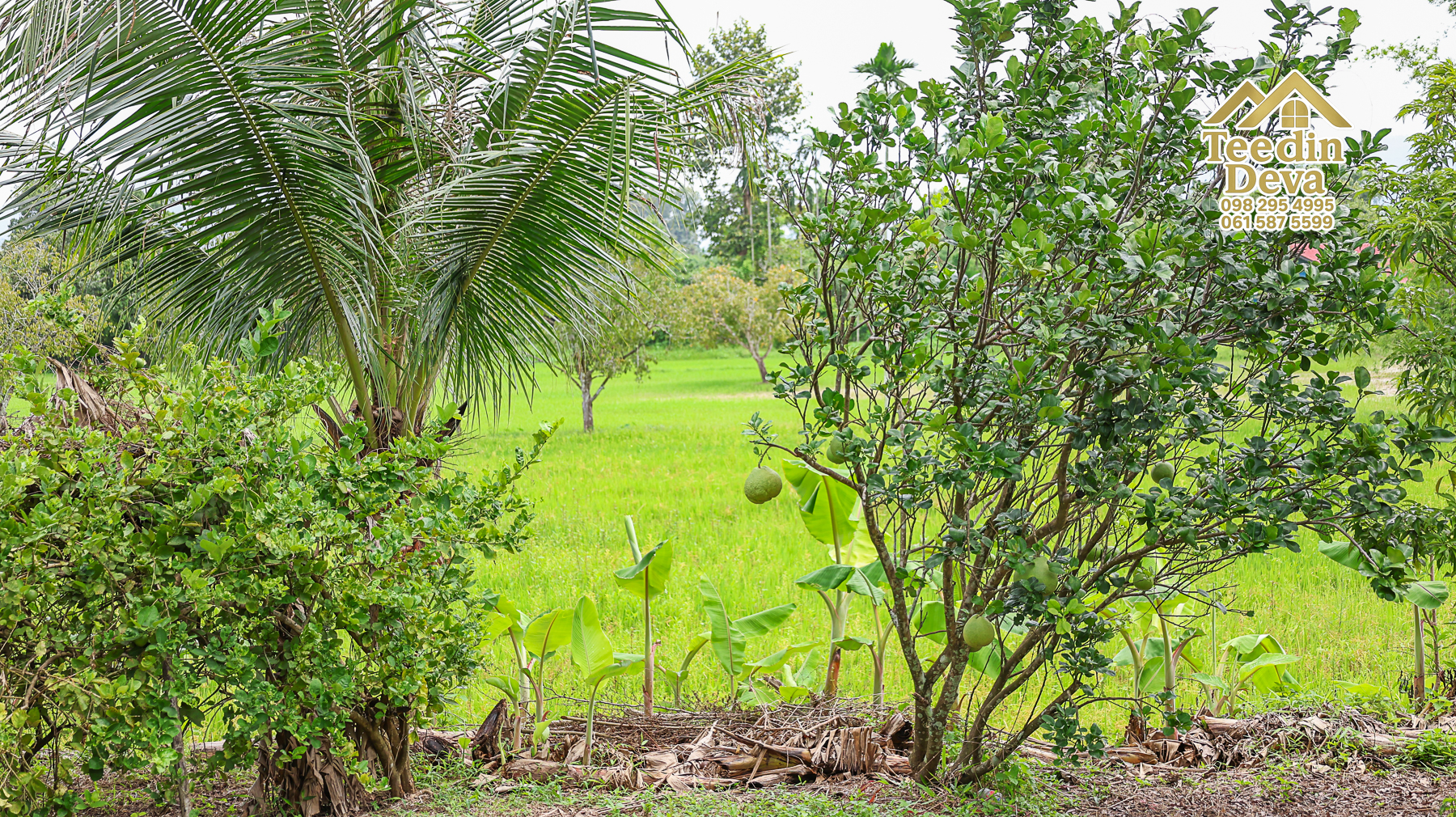 🏡 บ้านพร้อมที่ดินวิวภูเขา 1 ไร่ 3 งาน 45 ตรว. – ต.เขาพระ อ.เมือง จ.นครนายก 🌿