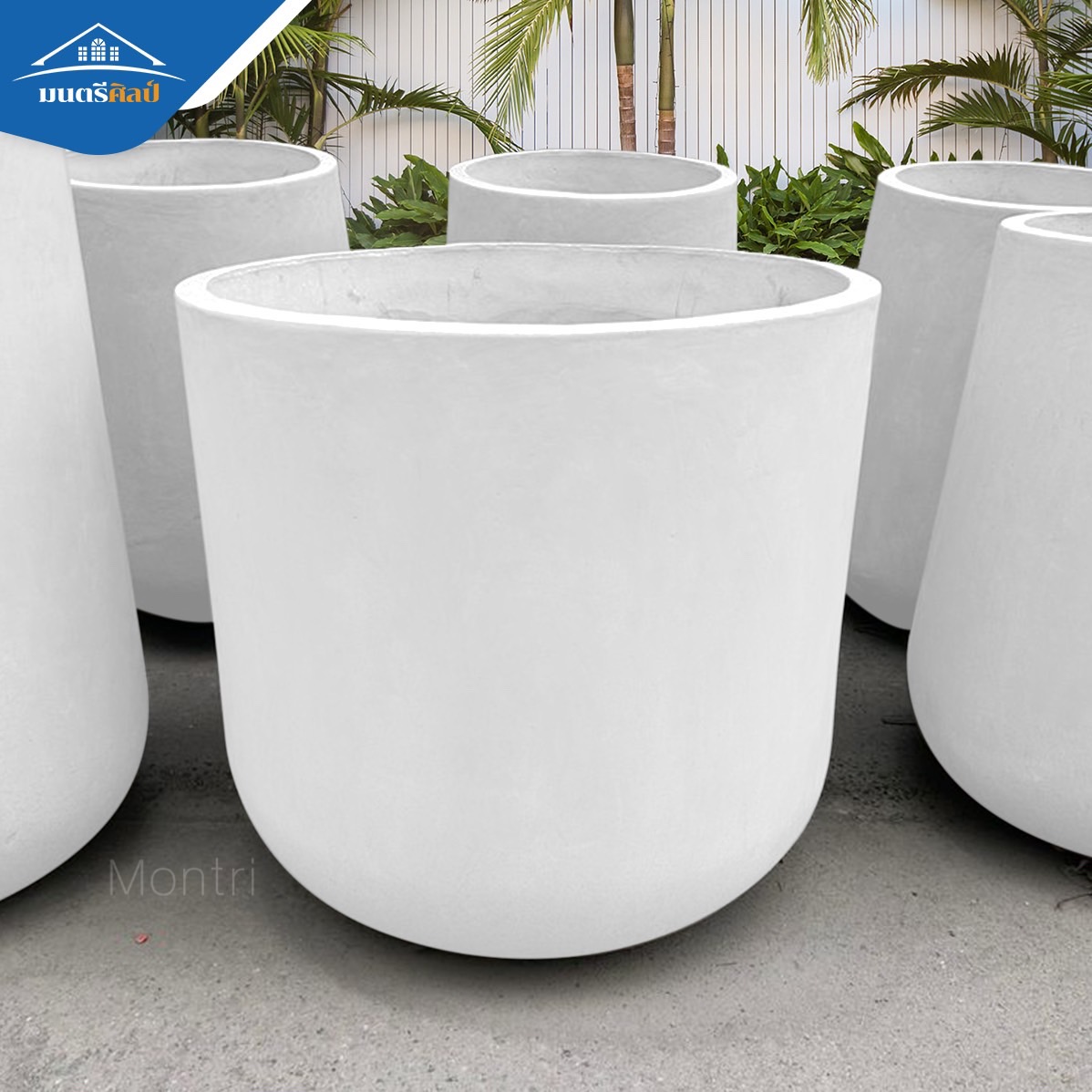 กระถางปูนใหญ่ กระถางมินิมอล พิเศษขนาดใหญ่พิเศษ 80x80 cm หายากในท้องตลาด ตอบโจทย์สำหรับต้นไม้ใหญ่และรากลึก