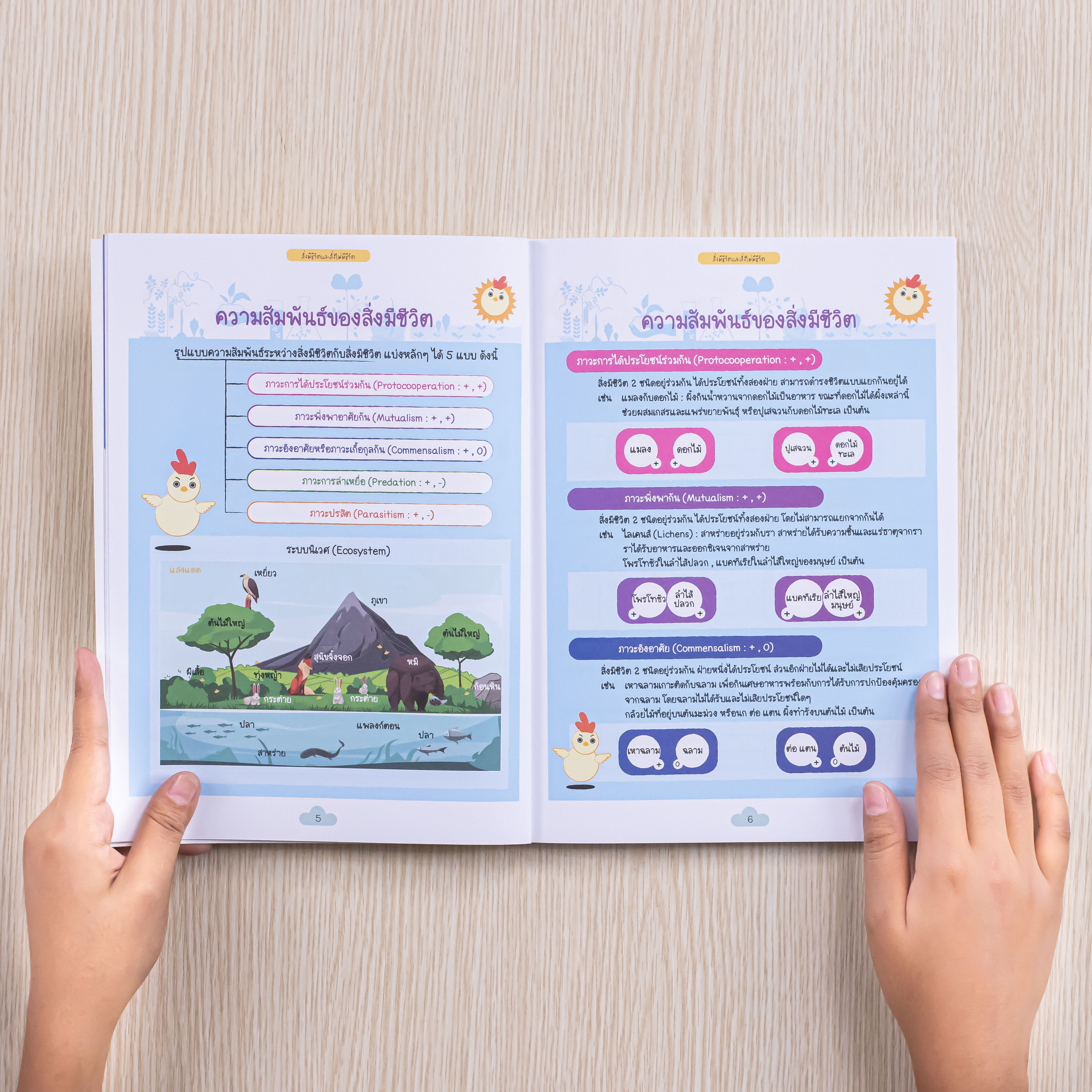 Infopress (อินโฟเพรส) หนังสือ Short Note Science ป.6 พร้อมสอบเข้า ม.1 มั่นใจเต็ม 100 - 74107