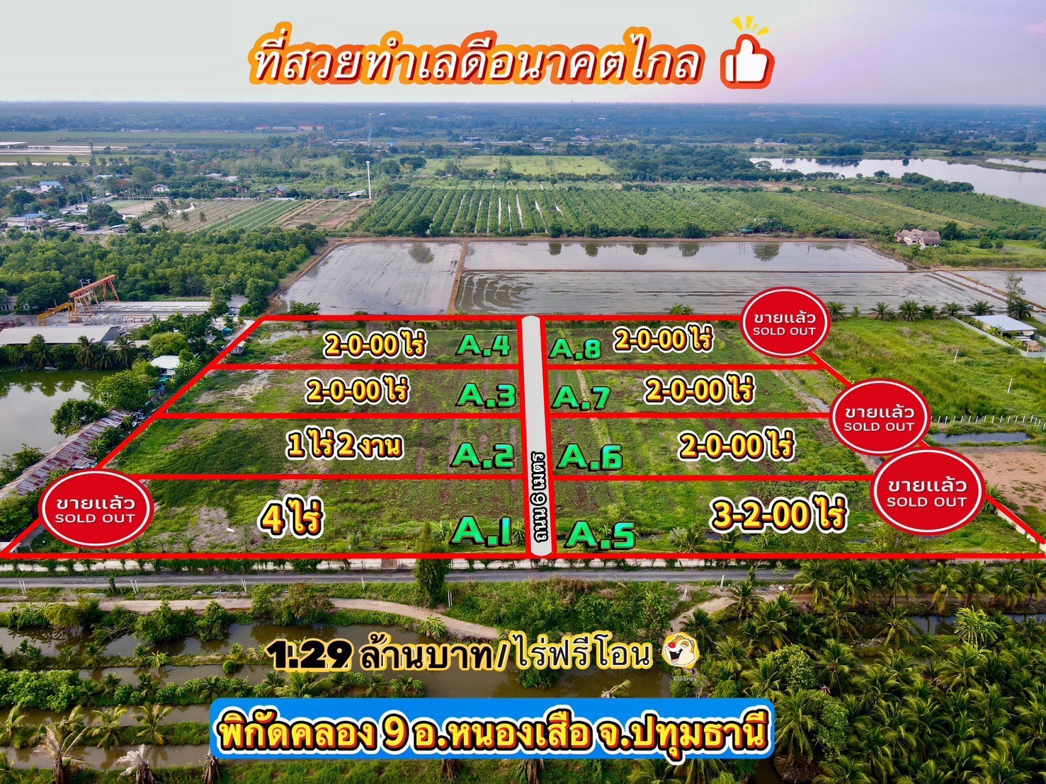 "ที่ดินในฝัน ใกล้กรุงเทพ 🌿 2 ไร่ – คลอง 9 อ.หนองเสือ จ.ปทุมธานี"